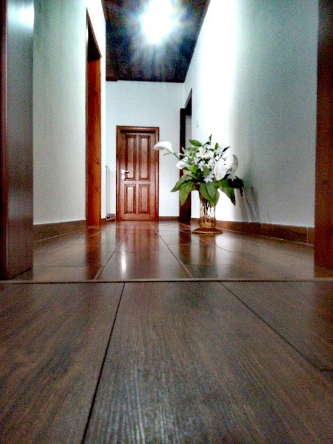 Gjirokastër Guesthouse Celo المظهر الخارجي الصورة