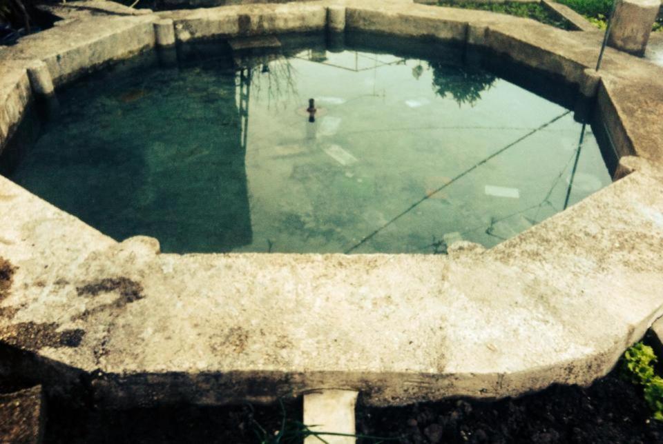 Gjirokastër Guesthouse Celo المظهر الخارجي الصورة